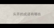 头开的成语有哪些