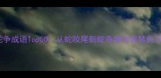 蛇争成语Top50从蛇咬尾到蛇吞象的智慧启示