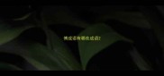 傅成语有哪些成语