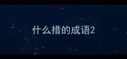 什么措的成语