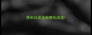 黑和白成语有哪些成语