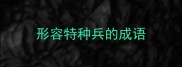 形容特种兵的成语
