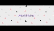 脚的成语有什么