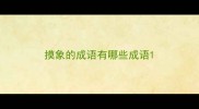 摸象的成语有哪些成语