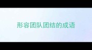 形容团队团结的成语