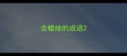 含蜡烛的成语