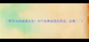 野开头的成语大全30个经典成语及用法必看