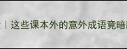 冷门成语大这些课本外的意外成语竟暗藏千年智慧