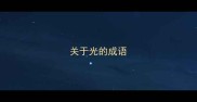 关于光的成语