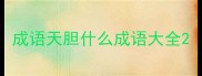 成语天胆什么成语大全