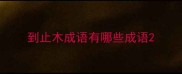 到止木成语有哪些成语