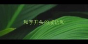 和字开头的成语和