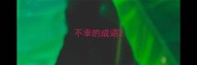 不幸的成语