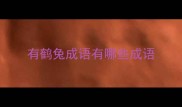 有鹤兔成语有哪些成语