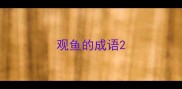 观鱼的成语