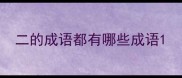 二的成语都有哪些成语