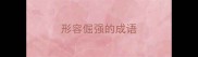 形容倔强的成语