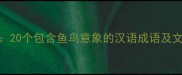 鱼鸟共舞20个包含鱼鸟意象的汉语成语及文化寓意全