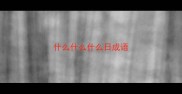 什么什么什么日成语