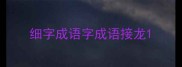 细字成语字成语接龙