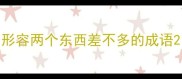 形容两个东西差不多的成语