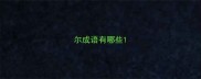 尔成语有哪些