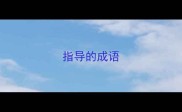 指导的成语