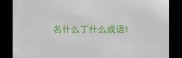 名什么丁什么成语