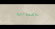 有两个欺的成语