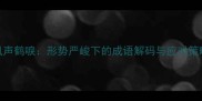 风声鹤唳形势严峻下的成语解码与应对策略