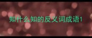 知什么知的反义词成语