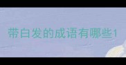 带白发的成语有哪些