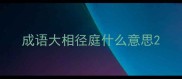 成语大相径庭什么意思