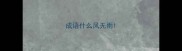 成语什么风无雨