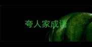 夸人家成语