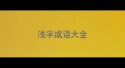 浅字成语大全