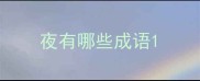 夜有哪些成语