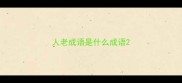 人老成语是什么成语