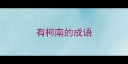 有柯南的成语