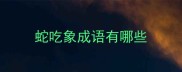 蛇吃象成语有哪些