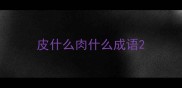 皮什么肉什么成语