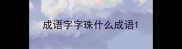 成语字字珠什么成语
