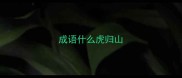 成语什么虎归山