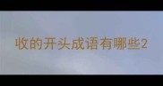收的开头成语有哪些