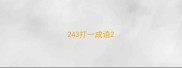 243打一成语