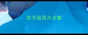 衣字成语大全集