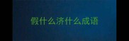 假什么济什么成语