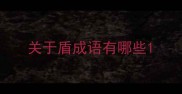 关于盾成语有哪些