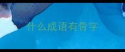 什么成语有骨字