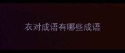 衣对成语有哪些成语